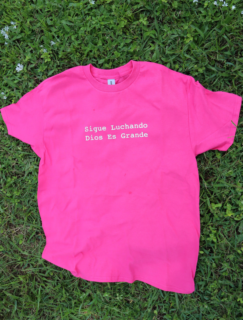 Sigue Luchando Pink T-Shirt